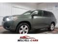 Cypress Green Pearl 2008 Toyota Highlander Limited 4WD