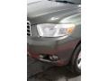 Cypress Green Pearl - Highlander Limited 4WD Photo No. 59
