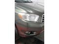 Cypress Green Pearl - Highlander Limited 4WD Photo No. 61