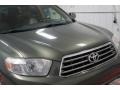 Cypress Green Pearl - Highlander Limited 4WD Photo No. 64
