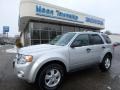 Ingot Silver Metallic 2010 Ford Escape XLT