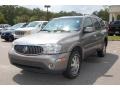 Titanium Gray Metallic - Rainier CXL AWD Photo No. 12