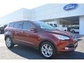 2016 Sunset Metallic Ford Escape Titanium  photo #1