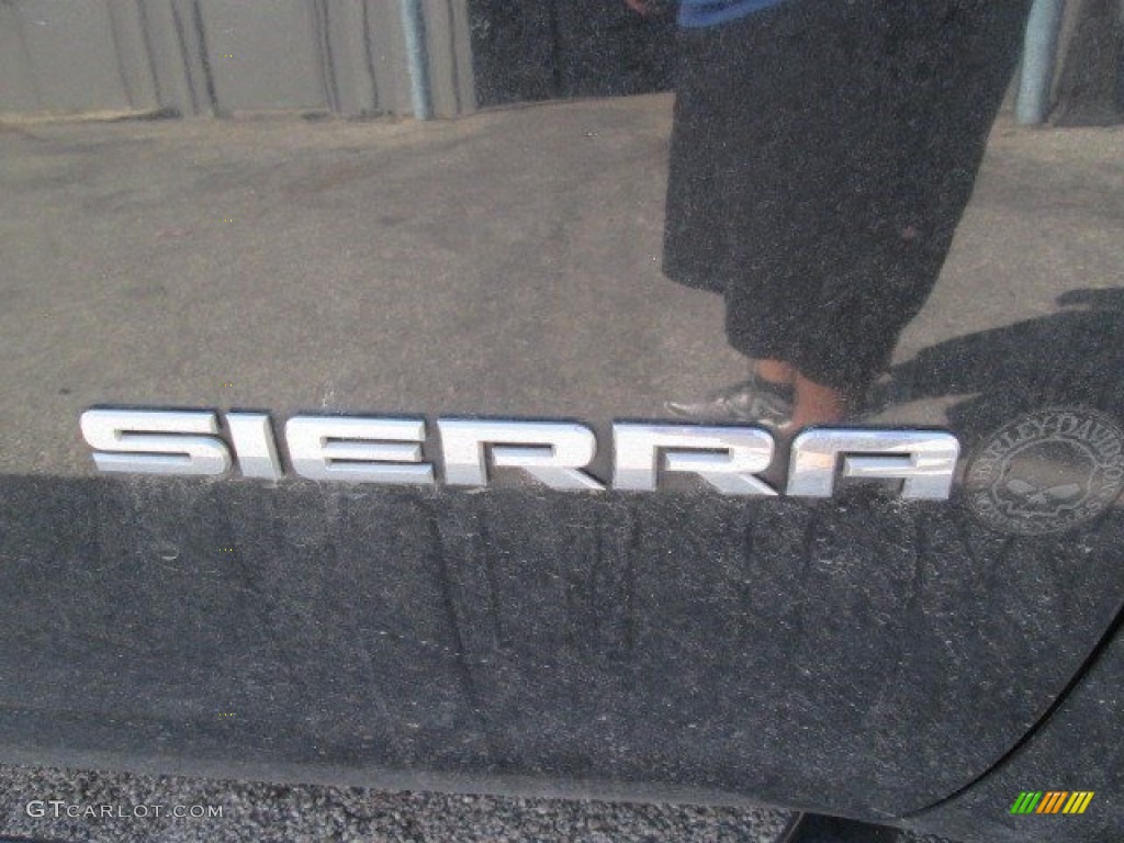 2013 Sierra 1500 Regular Cab - Onyx Black / Dark Titanium photo #4