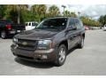 Desert Brown Metallic - TrailBlazer LT 4x4 Photo No. 9