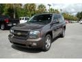 2008 Desert Brown Metallic Chevrolet TrailBlazer LT 4x4  photo #9