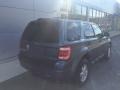 2010 Steel Blue Metallic Ford Escape XLT 4WD  photo #7