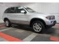 Titanium Silver Metallic - X5 3.0i Photo No. 6