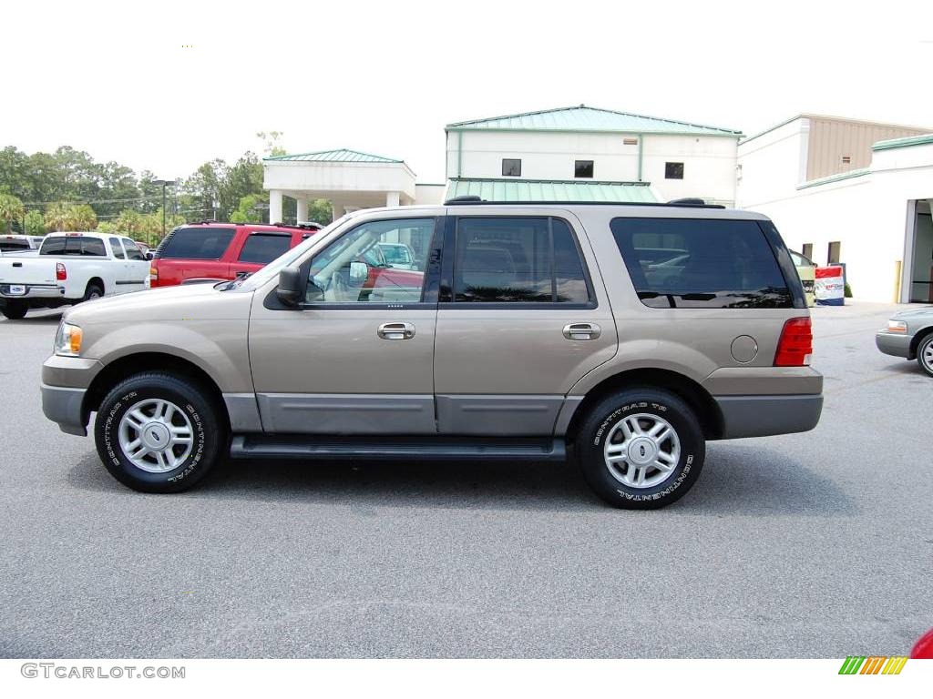 2003 Expedition XLT - Arizona Beige Metallic / Medium Parchment photo #2
