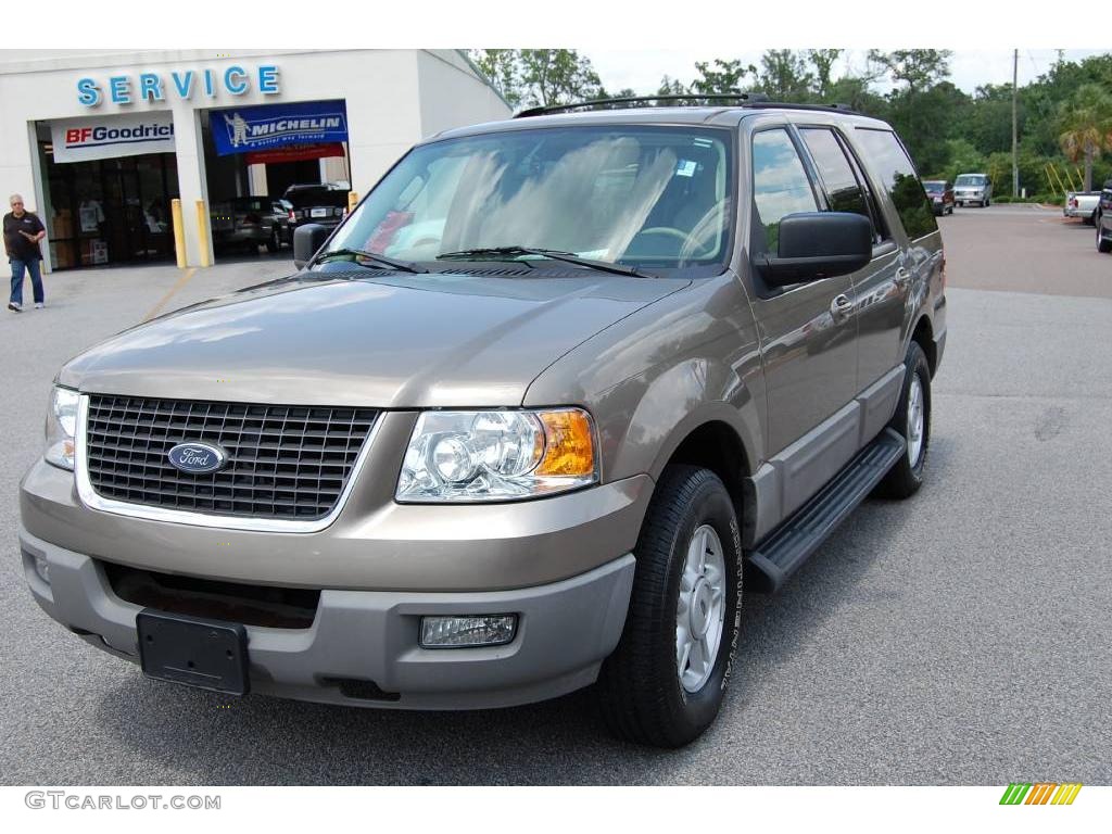 2003 Expedition XLT - Arizona Beige Metallic / Medium Parchment photo #12