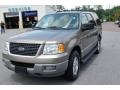 Arizona Beige Metallic - Expedition XLT Photo No. 12