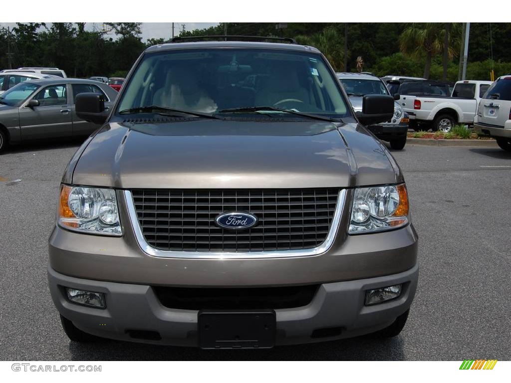 2003 Expedition XLT - Arizona Beige Metallic / Medium Parchment photo #13