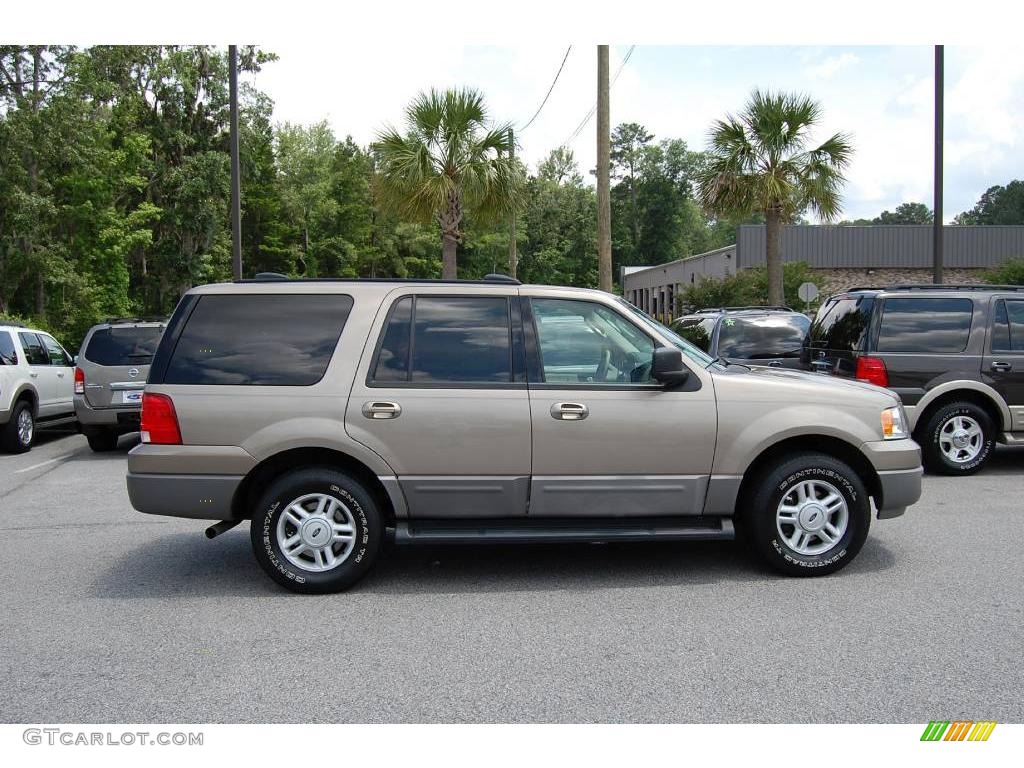 2003 Expedition XLT - Arizona Beige Metallic / Medium Parchment photo #14