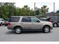Arizona Beige Metallic - Expedition XLT Photo No. 14
