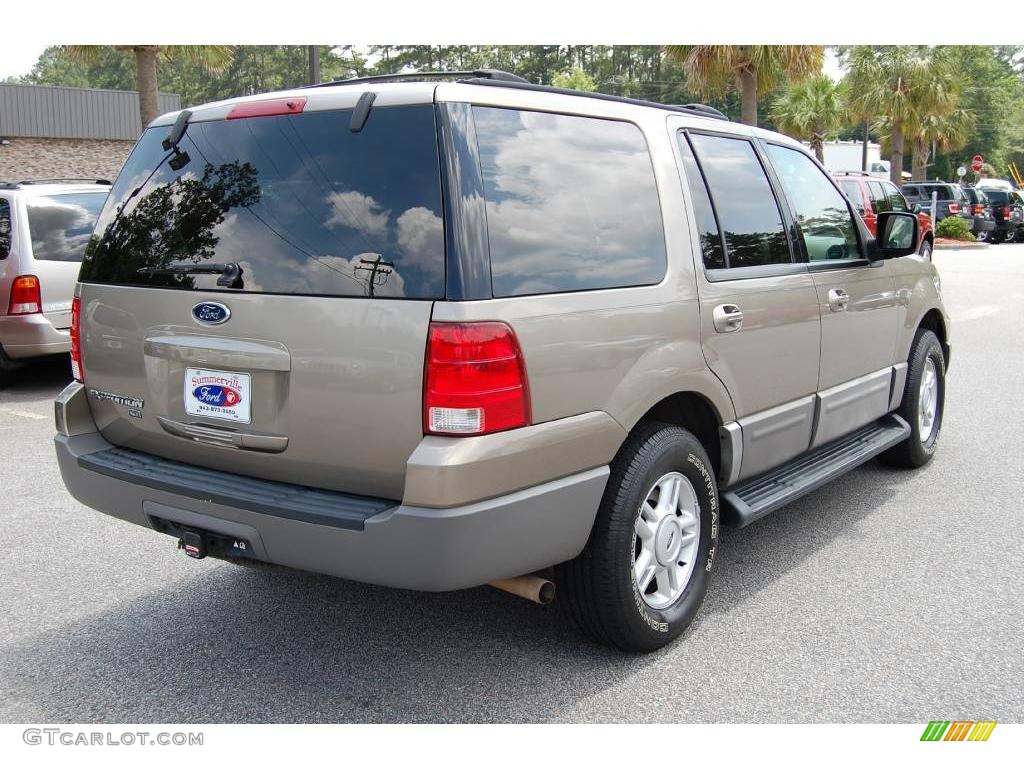2003 Expedition XLT - Arizona Beige Metallic / Medium Parchment photo #15