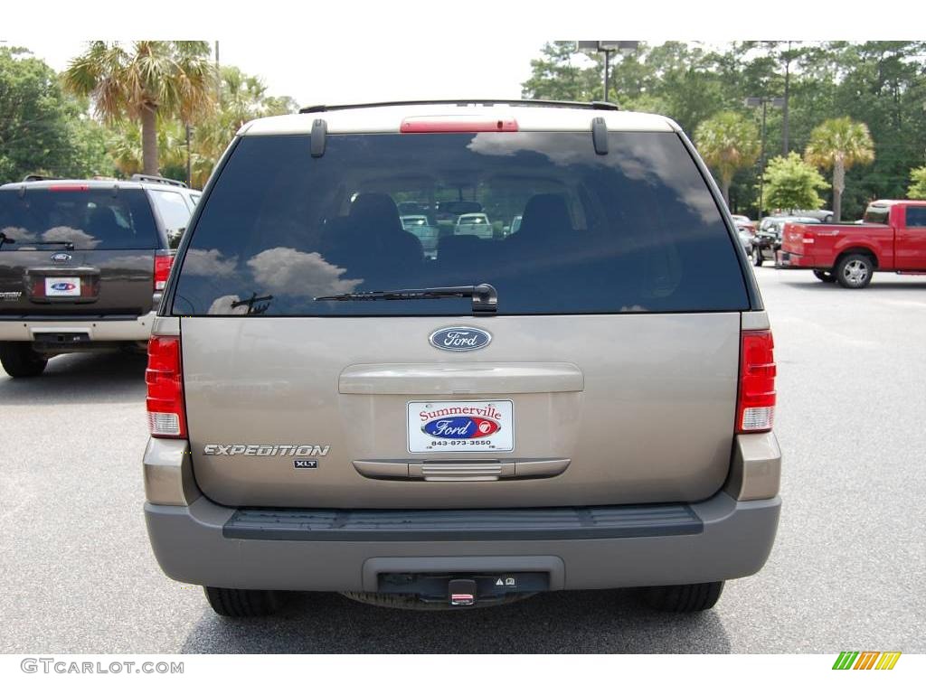 2003 Expedition XLT - Arizona Beige Metallic / Medium Parchment photo #16