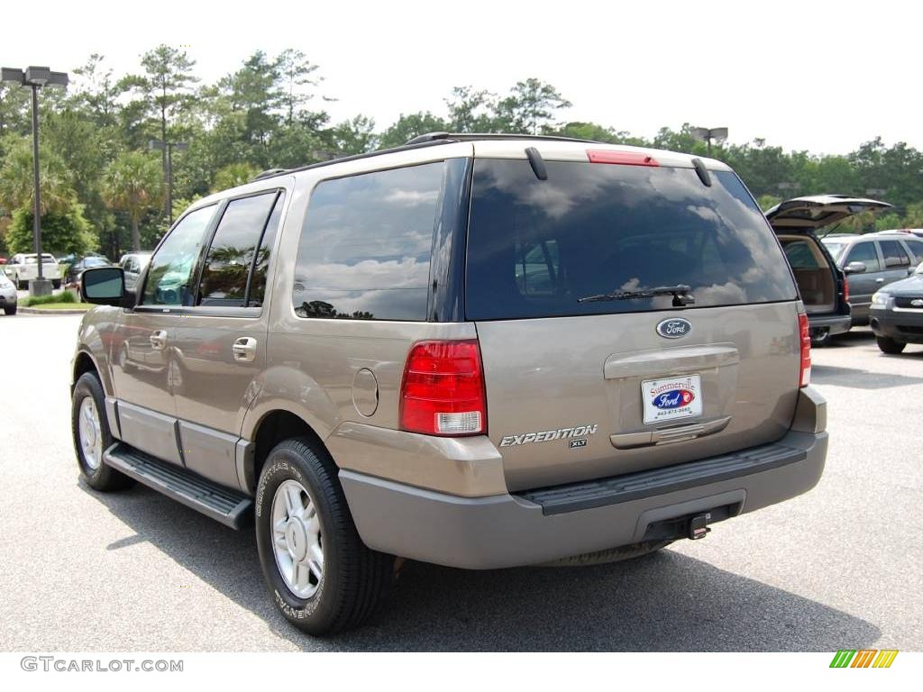 2003 Expedition XLT - Arizona Beige Metallic / Medium Parchment photo #17