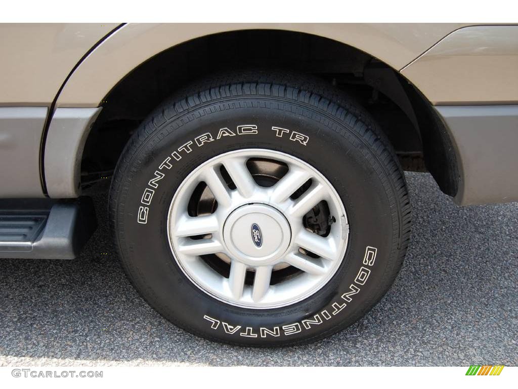 2003 Expedition XLT - Arizona Beige Metallic / Medium Parchment photo #18