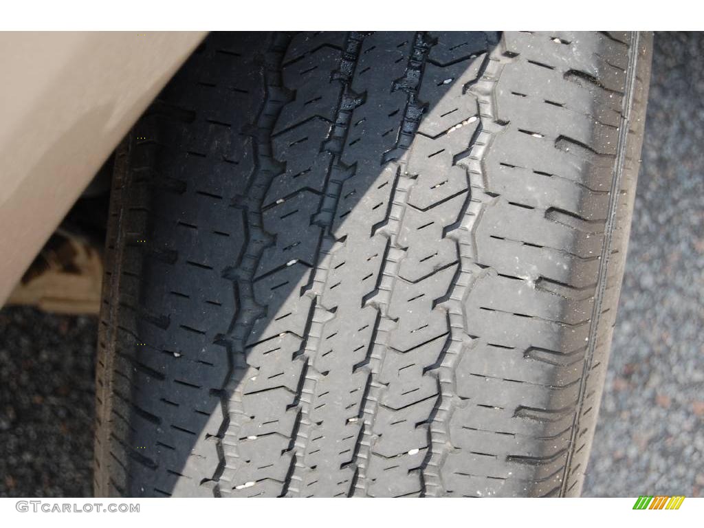 2003 Expedition XLT - Arizona Beige Metallic / Medium Parchment photo #19