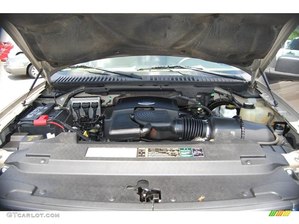 2003 Expedition XLT - Arizona Beige Metallic / Medium Parchment photo #20