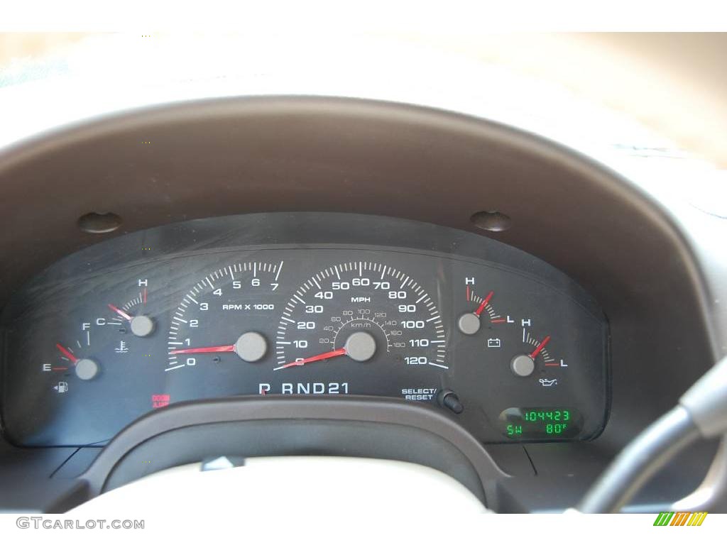 2003 Expedition XLT - Arizona Beige Metallic / Medium Parchment photo #23