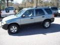 2006 Titanium Green Metallic Ford Escape XLT  photo #2