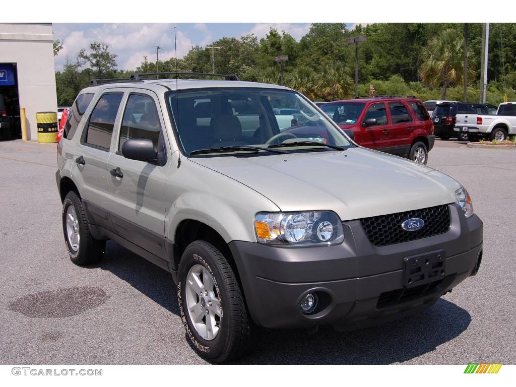 2006 Escape XLT 4WD - Gold Ash Metallic / Medium/Dark Pebble photo #1