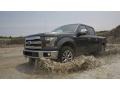 2016 Green Gem Ford F150 XL Regular Cab  photo #2