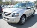 2008 Vapor Silver Metallic Ford Expedition Limited  photo #14