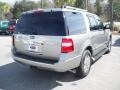 2008 Vapor Silver Metallic Ford Expedition Limited  photo #17