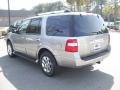 2008 Vapor Silver Metallic Ford Expedition Limited  photo #19