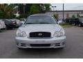 Bright Silver - Sonata GLS V6 Photo No. 11