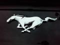 Shadow Black - Mustang EcoBoost Coupe Photo No. 5