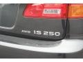 Smoky Granite Mica - IS 250 AWD Photo No. 30