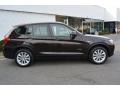 Sparkling Brown Metallic - X3 xDrive28i Photo No. 2