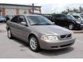 Terra Gray Metallic - S40 1.9T Photo No. 1
