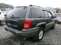 Graphite Metallic - Grand Cherokee Laredo Photo No. 3