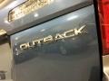2009 Newport Blue Pearl Subaru Outback 2.5i Special Edition Wagon  photo #98