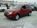 Toreador Red Metallic - Escape XLT Photo No. 3