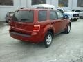 Toreador Red Metallic - Escape XLT Photo No. 4