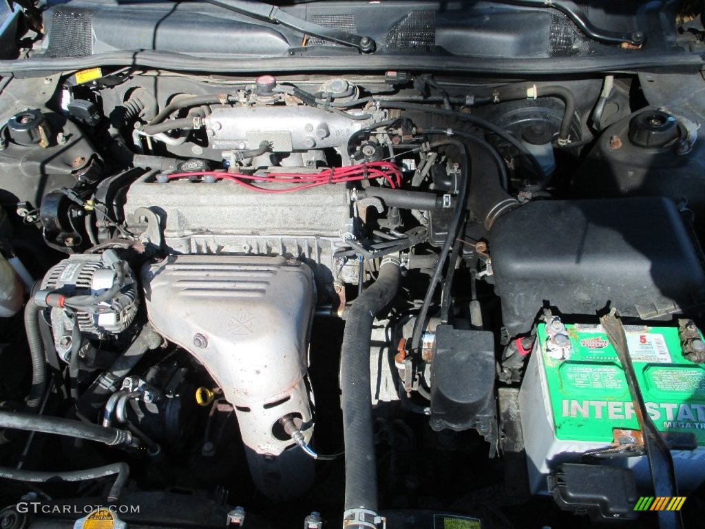 1999 Camry LE - Sable Pearl / Sage photo #15