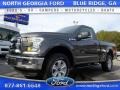 2016 Magnetic Ford F150 XLT Regular Cab 4x4  photo #1