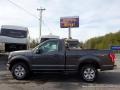 Magnetic - F150 XLT Regular Cab 4x4 Photo No. 2