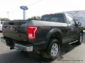 Magnetic - F150 XLT Regular Cab 4x4 Photo No. 5