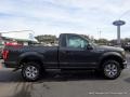 Magnetic - F150 XLT Regular Cab 4x4 Photo No. 6