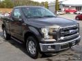 Magnetic - F150 XLT Regular Cab 4x4 Photo No. 7