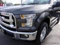 Magnetic - F150 XLT Regular Cab 4x4 Photo No. 26