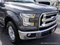 Magnetic - F150 XLT Regular Cab 4x4 Photo No. 27