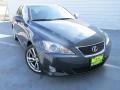 Smoky Granite Mica 2008 Lexus IS 250