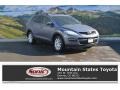 2007 Galaxy Gray Mica Mazda CX-9 Touring AWD #110370923